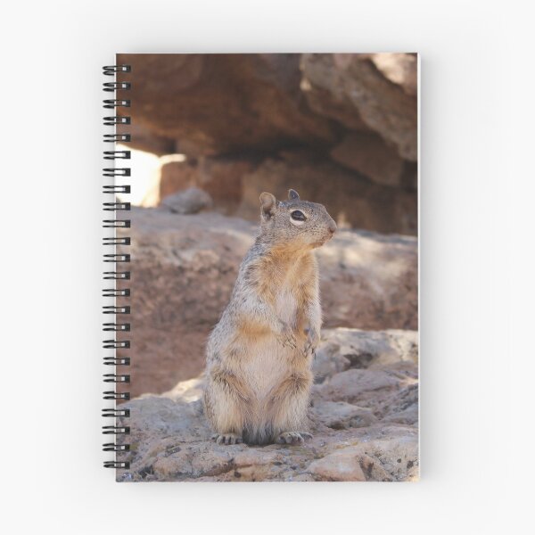 Item preview, Cute Squirrel designed and sold by GymWiller.