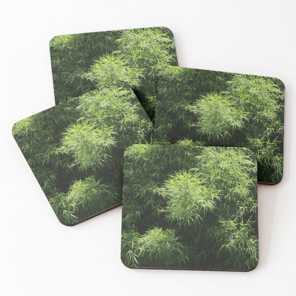 Item preview, Planta tropical de arboleda de bambú verde designed and sold by worldways.