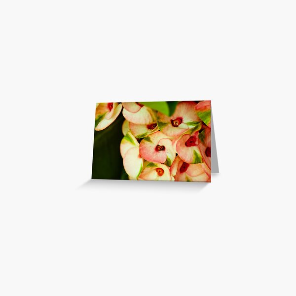 Full frame: Featured work: All-things-in-the-natural-world Group Greeting Card