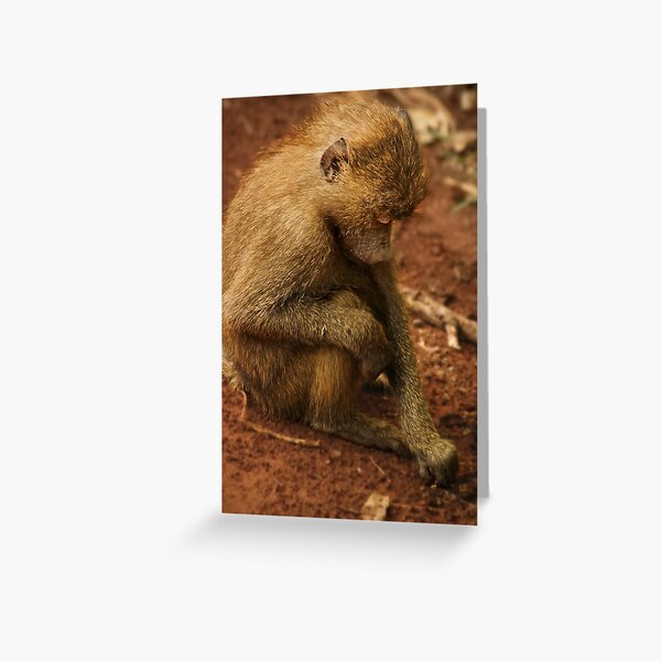 Penny for your thoughts Greeting Card