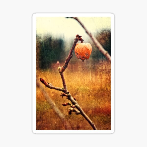 verdorbener Apfel Sticker