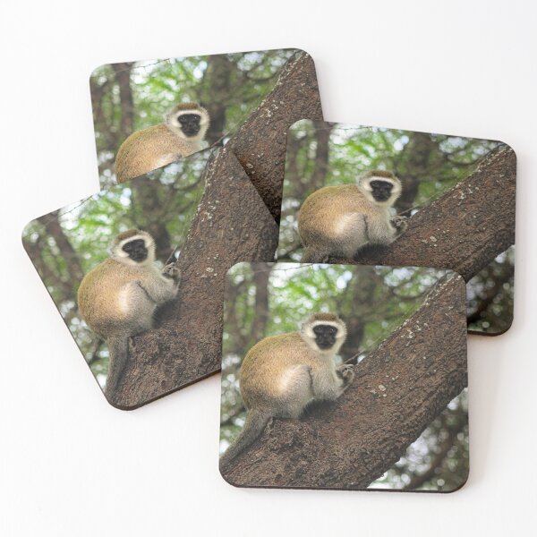 Item preview, Monkey in Tree designed and sold by ashleegirly.