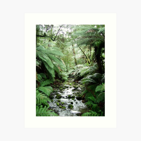 Item preview, Rain forrest Creek at dawn designed and sold by Geraldine Holly.