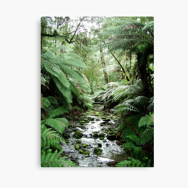 Item preview, Rain forrest Creek at dawn designed and sold by Geraldine Holly.