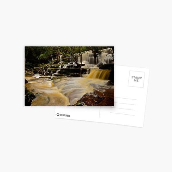 Item preview, Wild Somersby. designed and sold by Warren  Patten.