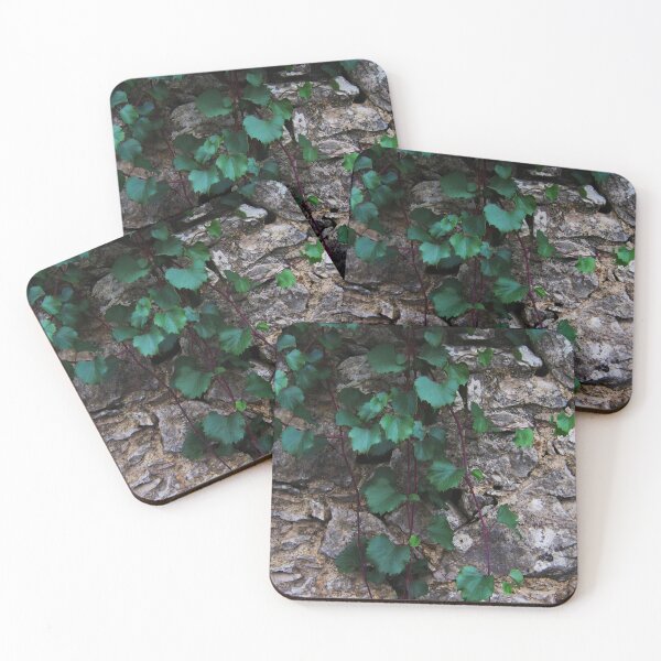Item preview, Ancient Stone Garden Cobblestone Wall and Vines designed and sold by worldways.