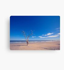 Solitude Canvas Print