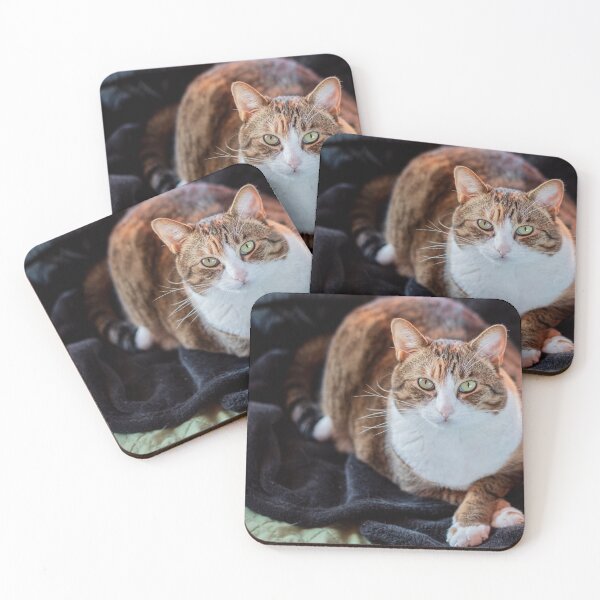 Item preview, Kitty posing designed and sold by JarrodMcKenna.