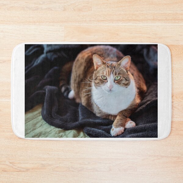 Item preview, Kitty posing designed and sold by JarrodMcKenna.
