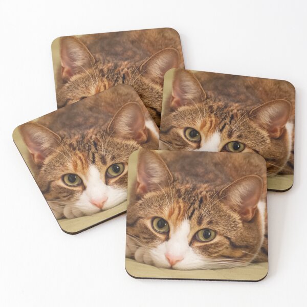 Item preview, Pretty kitty designed and sold by JarrodMcKenna.