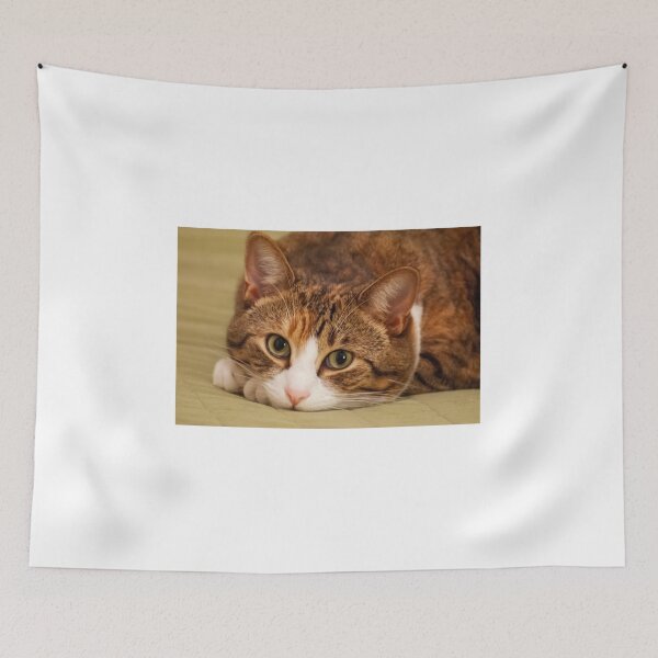 Item preview, Pretty kitty designed and sold by JarrodMcKenna.
