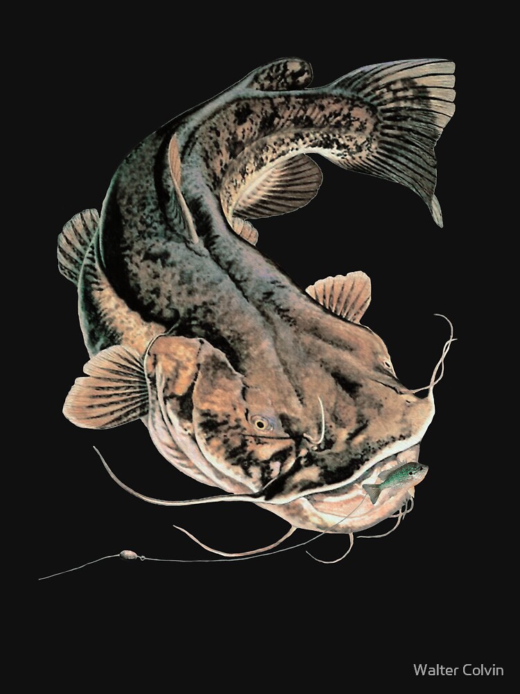 Disover Flathead Catfish Fishing Tank Top