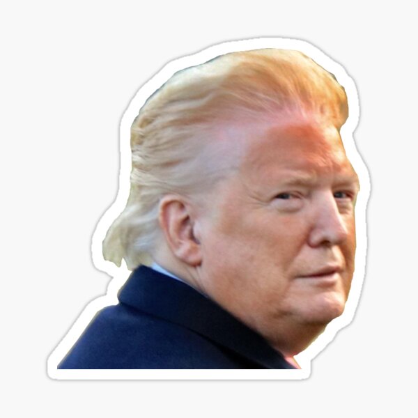 Donald Trump Sticker