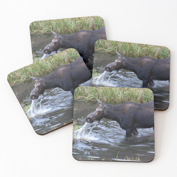 Item preview, Moose in River designed and sold by Allen Penton.