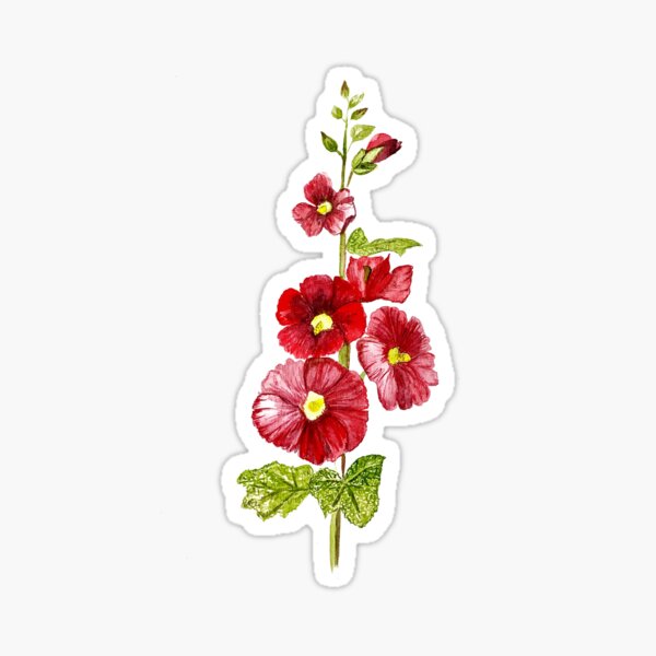 Item preview, Flower Red hollyhock with blooming bud designed and sold by Pragatee.
