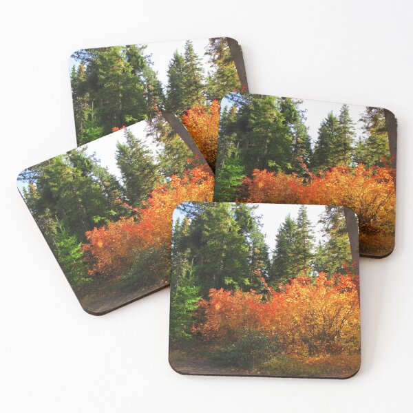 Item preview, Oregon's Fall Coat. Santiam Pass designed and sold by Diane Arndt.