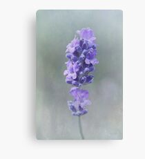 Lienzo Lavanda