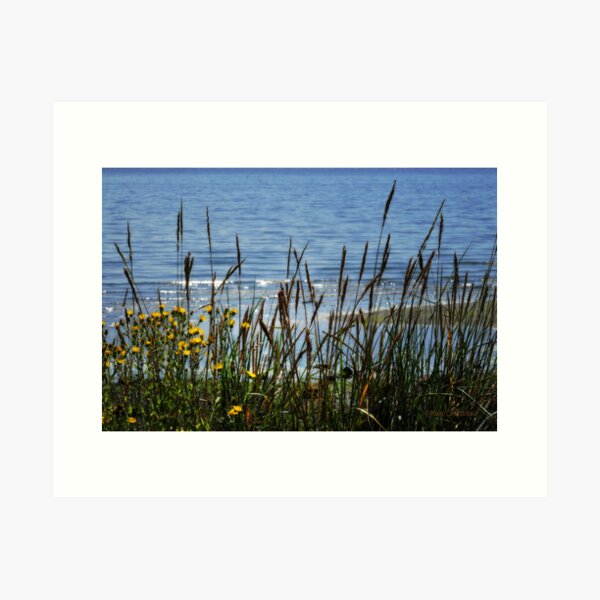 Item preview, Beach View designed and sold by MaluC.