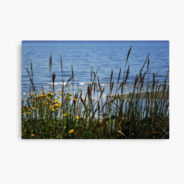 Item preview, Beach View designed and sold by MaluC.