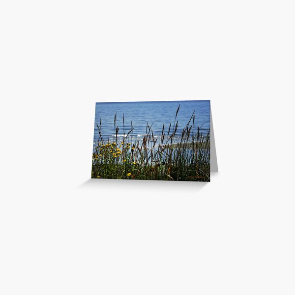 Item preview, Beach View designed and sold by MaluC.