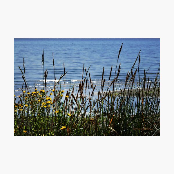 Beach View Photographic Print