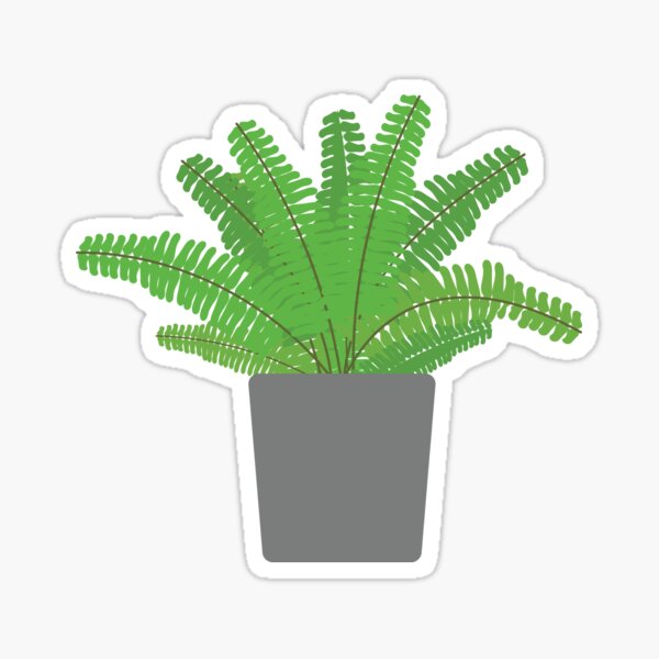Item preview, Boston Fern designed and sold by Kaitlyn Welch.