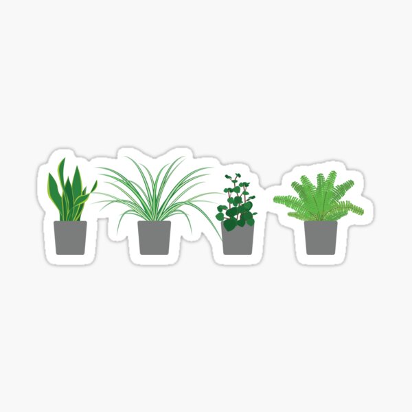 Item preview, Plants designed and sold by Kaitlyn Welch.