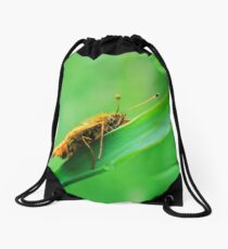 Lepidoptera Drawstring Bag