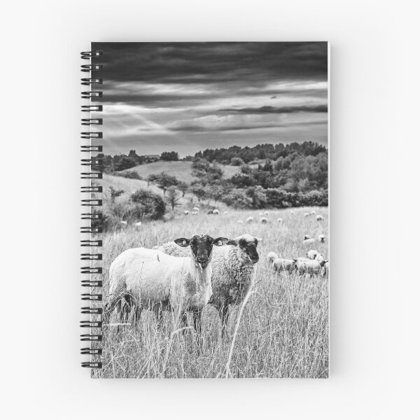 Item preview, Sheep's Moment designed and sold by novopics.