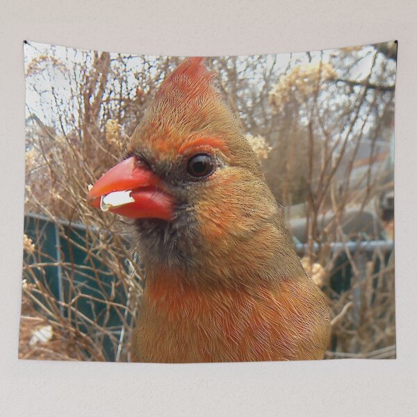 Item preview, Cardinal designed and sold by Maureen Zaharie.