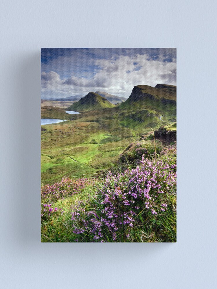 Alternate view of Scotland: My Bonny Heather Canvas Print