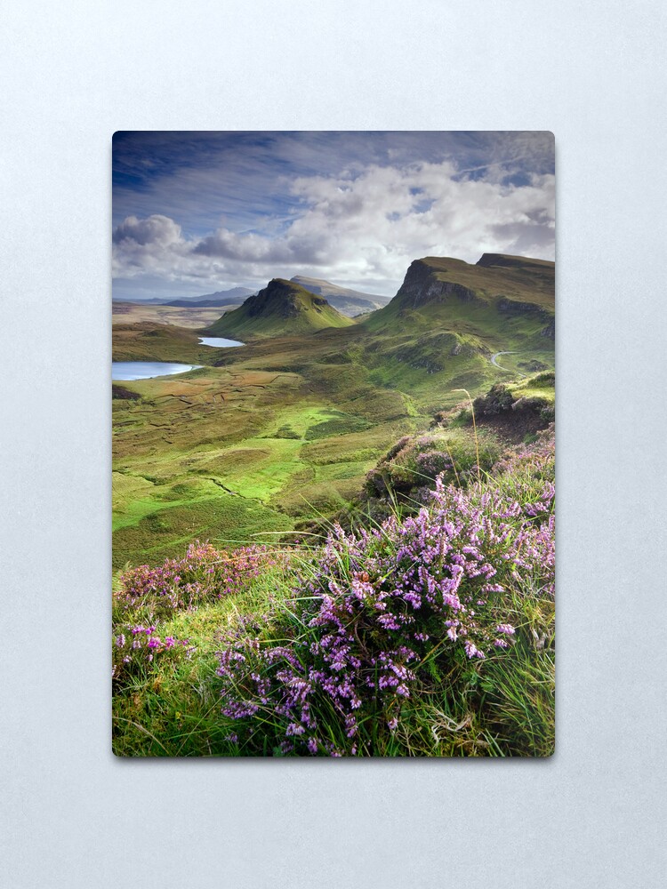 Alternate view of Scotland: My Bonny Heather Metal Print