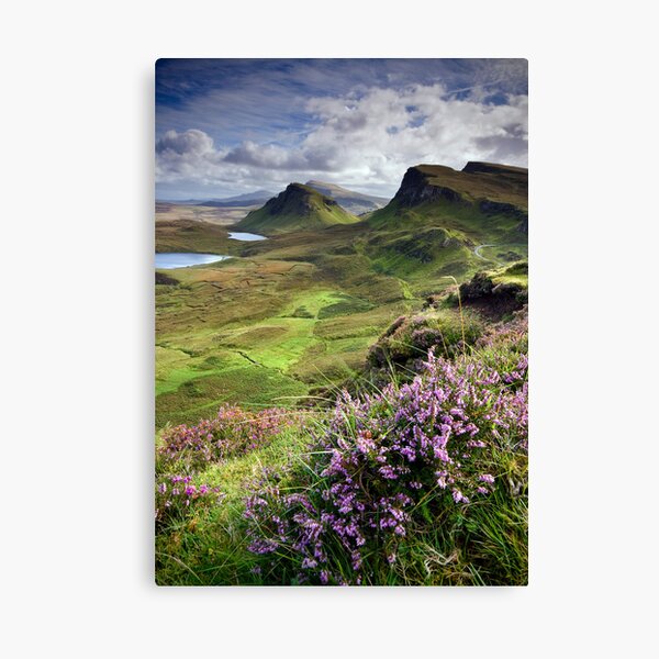 Scotland: My Bonny Heather Canvas Print