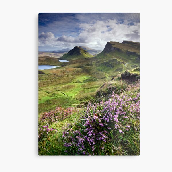 Scotland: My Bonny Heather Metal Print