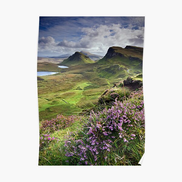 Scotland: My Bonny Heather Poster