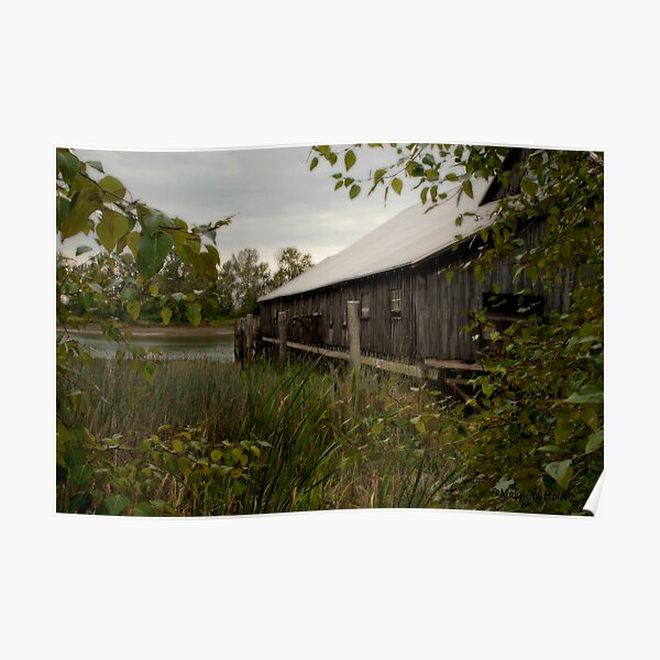 Cottage by the River Poster
