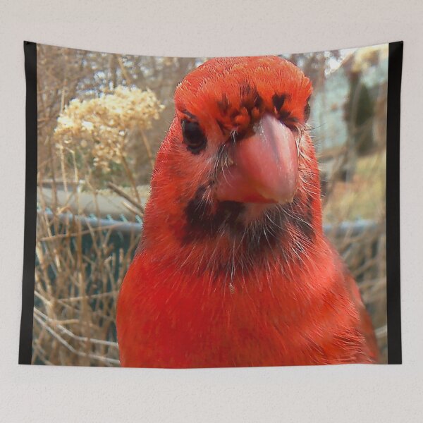 Item preview, freckled faced cardinal designed and sold by Maureen Zaharie.