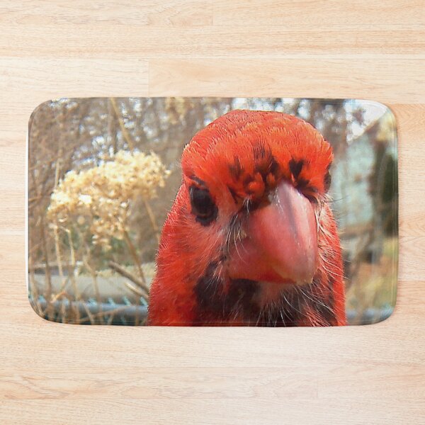 Item preview, freckled faced cardinal designed and sold by Maureen Zaharie.