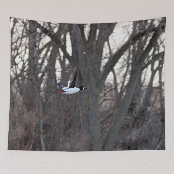 Item preview, Goldeneye Duck in Flight designed and sold by Susie Kramer.