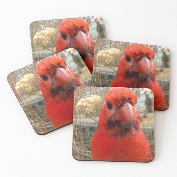 Item preview, freckled faced cardinal designed and sold by Maureen Zaharie.