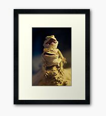 Dragons Framed Print