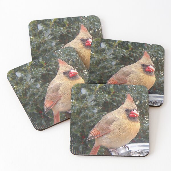 Item preview, female cardinal designed and sold by Maureen Zaharie.