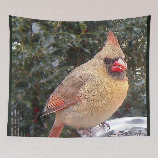 Item preview, female cardinal designed and sold by Maureen Zaharie.