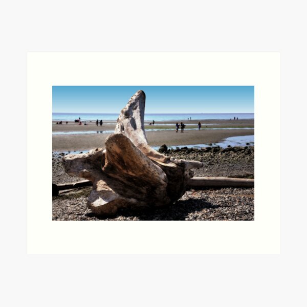 Item preview, Fallen tree on the Beach designed and sold by MaluC.