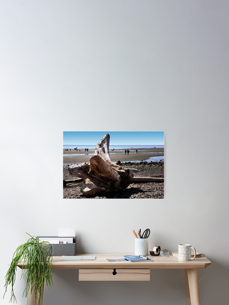 Thumbnail 2 of 3, Poster, Fallen tree on the Beach designed and sold by MaluC.