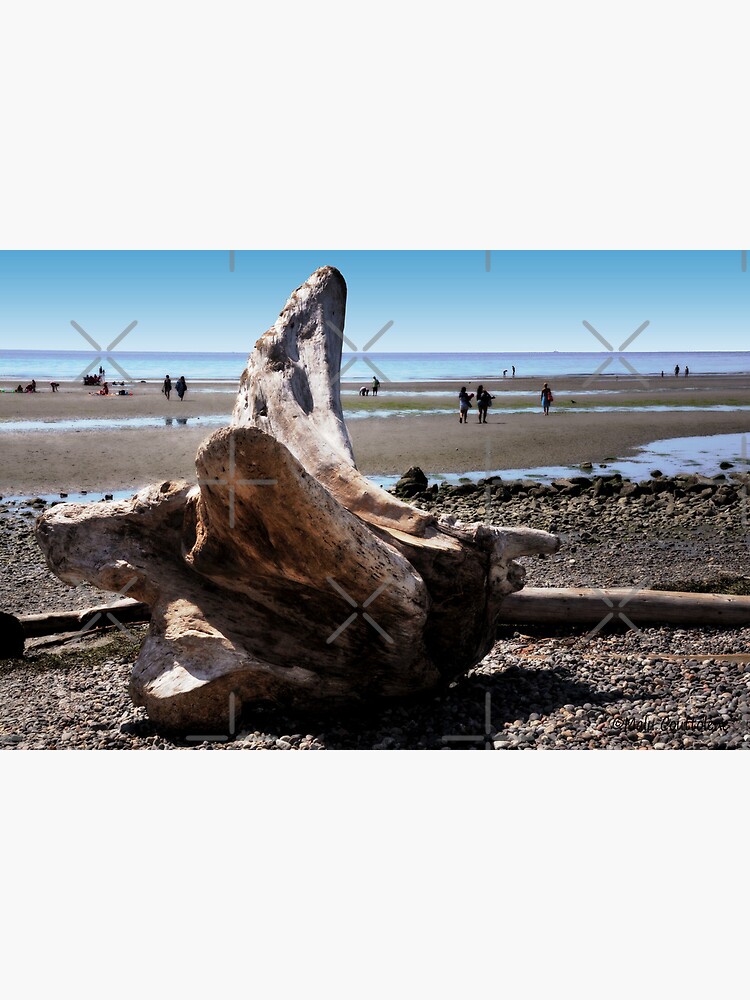 Thumbnail 3 of 3, Poster, Fallen tree on the Beach designed and sold by MaluC.