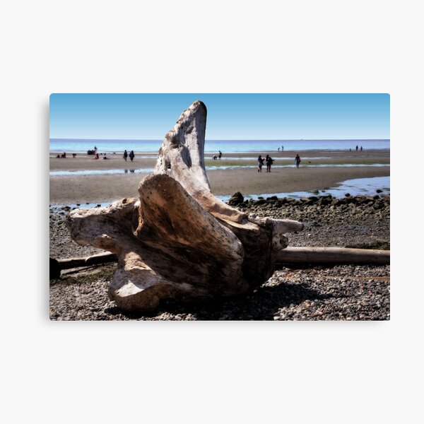 Item preview, Fallen tree on the Beach designed and sold by MaluC.