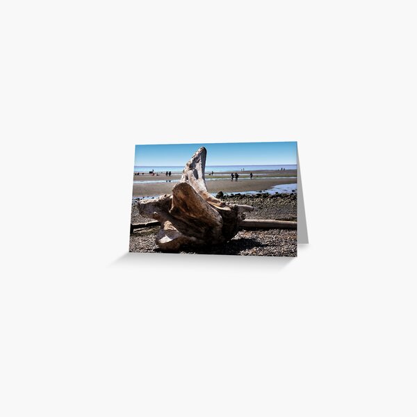 Item preview, Fallen tree on the Beach designed and sold by MaluC.