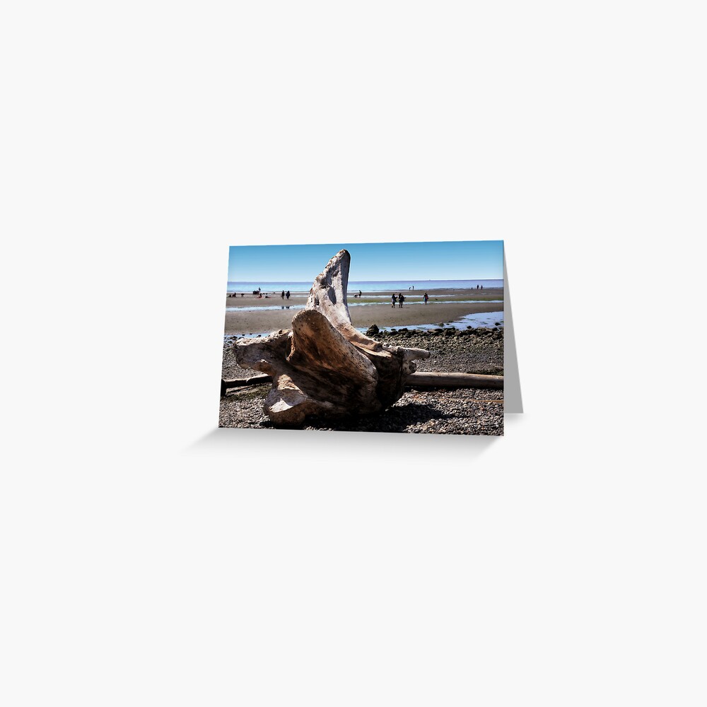 Item preview, Greeting Card designed and sold by MaluC.