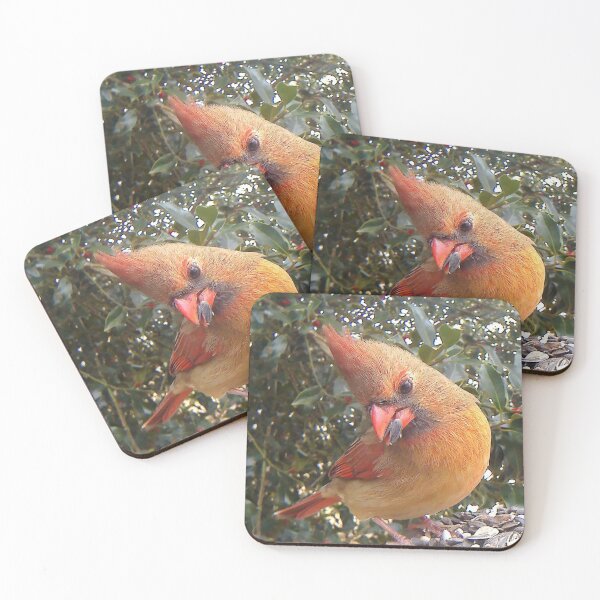 Item preview, cardinal designed and sold by Maureen Zaharie.